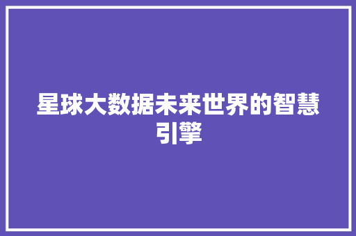 星球大数据未来世界的智慧引擎