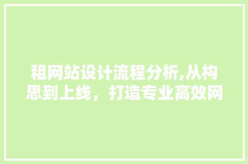 租网站设计流程分析,从构思到上线，打造专业高效网站
