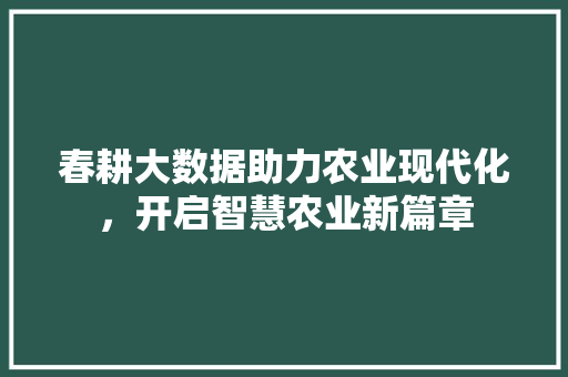 春耕大数据助力农业现代化，开启智慧农业新篇章 SEO教程