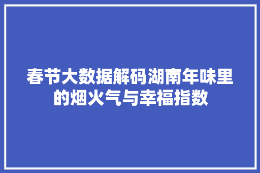 春节大数据解码湖南年味里的烟火气与幸福指数