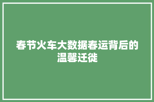 春节火车大数据春运背后的温馨迁徙