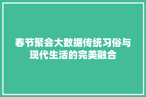 春节聚会大数据传统习俗与现代生活的完美融合
