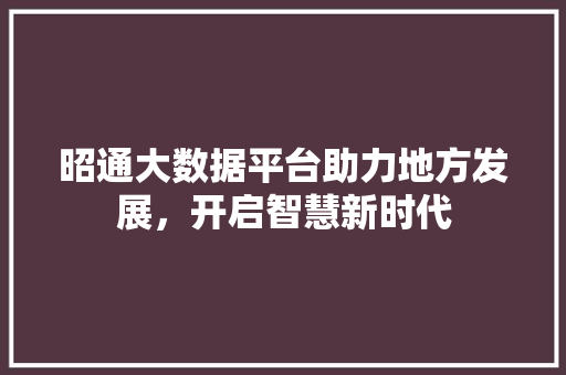 昭通大数据平台助力地方发展，开启智慧新时代