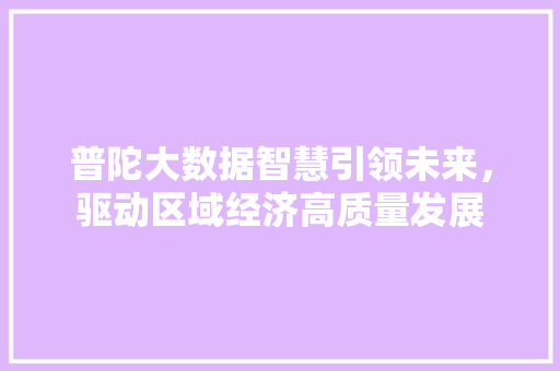 普陀大数据智慧引领未来，驱动区域经济高质量发展 友链在线