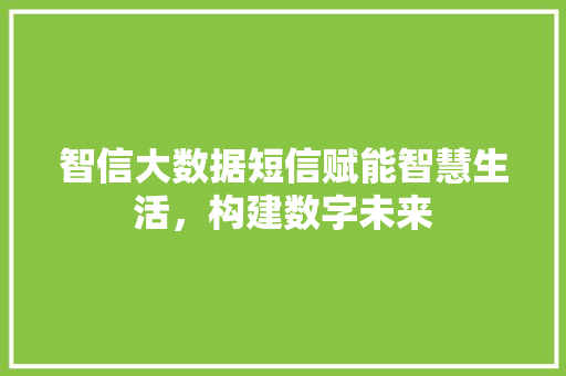 智信大数据短信赋能智慧生活，构建数字未来