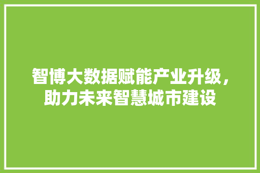 智博大数据赋能产业升级，助力未来智慧城市建设