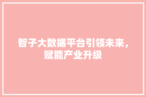 智子大数据平台引领未来，赋能产业升级