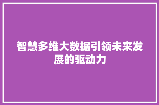 智慧多维大数据引领未来发展的驱动力