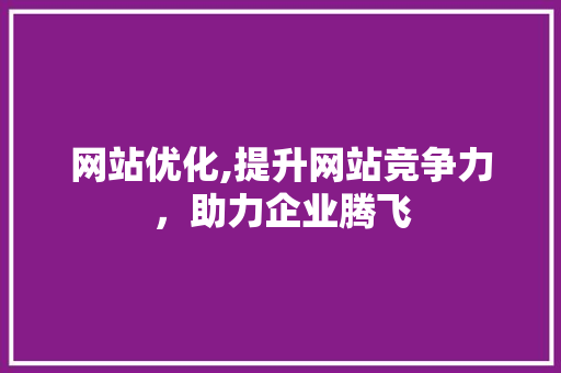 网站优化,提升网站竞争力，助力企业腾飞