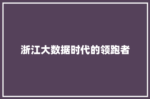 浙江大数据时代的领跑者
