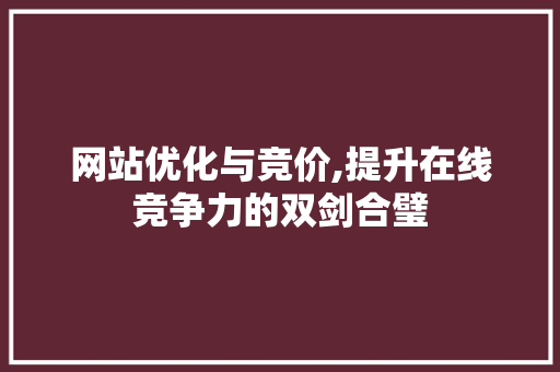 网站优化与竞价,提升在线竞争力的双剑合璧
