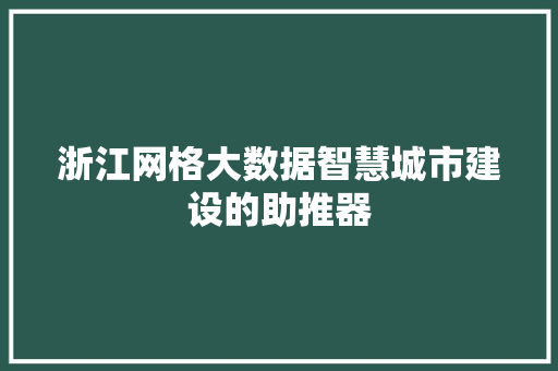 浙江网格大数据智慧城市建设的助推器
