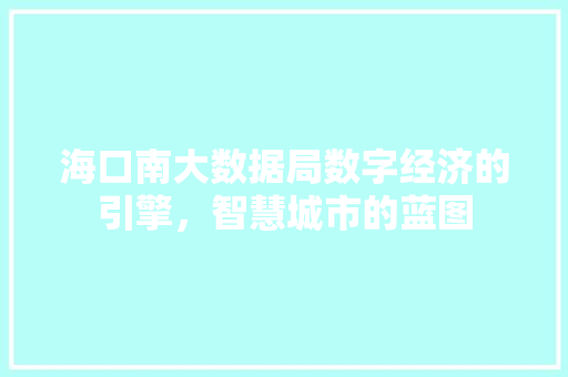 海口南大数据局数字经济的引擎，智慧城市的蓝图