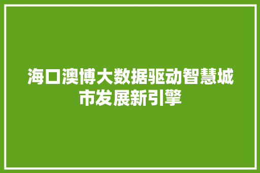 海口澳博大数据驱动智慧城市发展新引擎