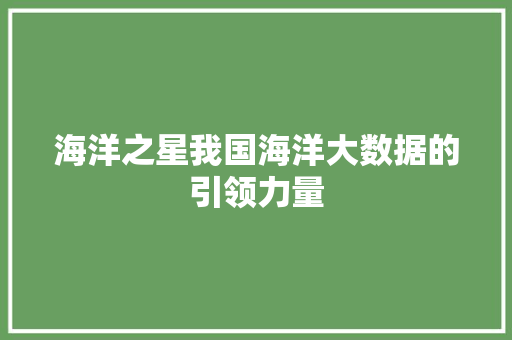 海洋之星我国海洋大数据的引领力量