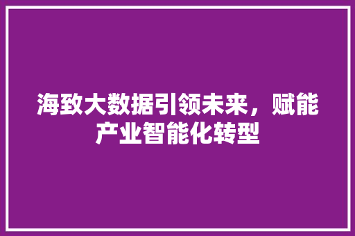 海致大数据引领未来，赋能产业智能化转型