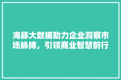 海豚大数据助力企业洞察市场脉搏，引领商业智慧前行