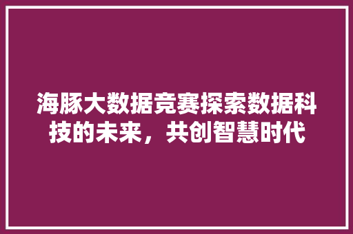 海豚大数据竞赛探索数据科技的未来，共创智慧时代