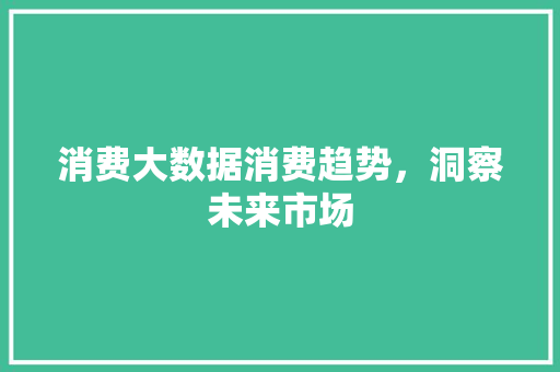 消费大数据消费趋势，洞察未来市场