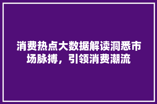 消费热点大数据解读洞悉市场脉搏，引领消费潮流