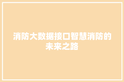 消防大数据接口智慧消防的未来之路