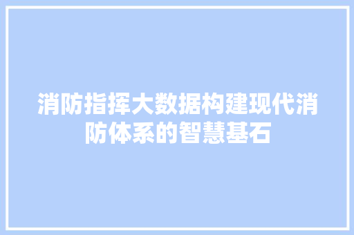 消防指挥大数据构建现代消防体系的智慧基石