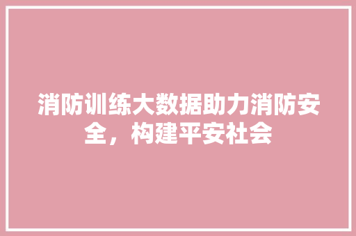 消防训练大数据助力消防安全，构建平安社会