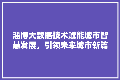淄博大数据技术赋能城市智慧发展，引领未来城市新篇章