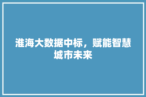 淮海大数据中标，赋能智慧城市未来 友链在线