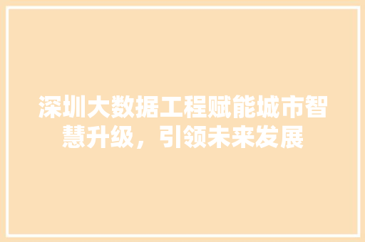 深圳大数据工程赋能城市智慧升级，引领未来发展