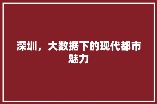 深圳，大数据下的现代都市魅力