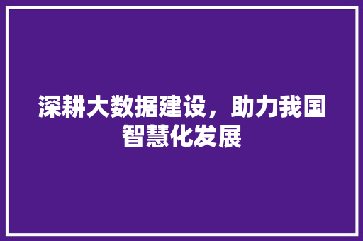 深耕大数据建设，助力我国智慧化发展