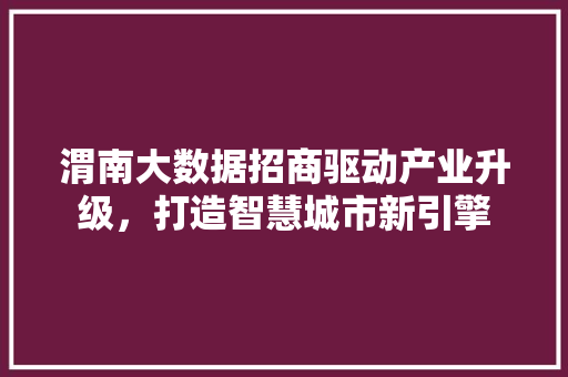 渭南大数据招商驱动产业升级，打造智慧城市新引擎
