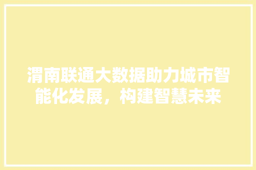 渭南联通大数据助力城市智能化发展，构建智慧未来