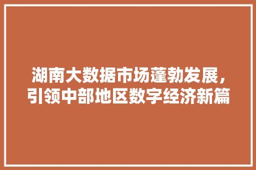 湖南大数据市场蓬勃发展，引领中部地区数字经济新篇章