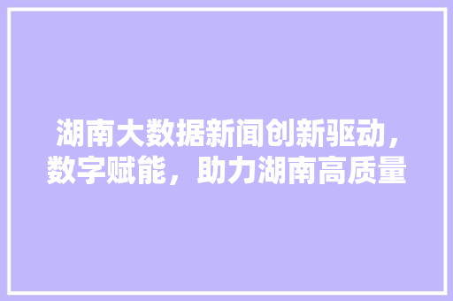 湖南大数据新闻创新驱动，数字赋能，助力湖南高质量发展