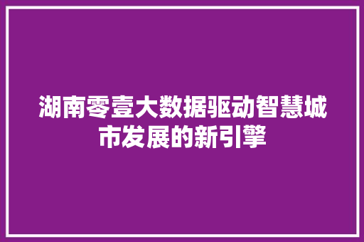 湖南零壹大数据驱动智慧城市发展的新引擎