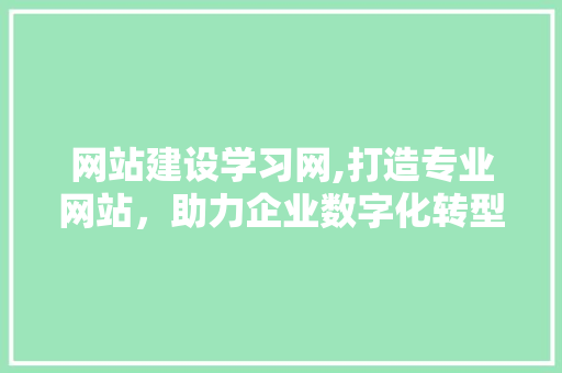 网站建设学习网,打造专业网站，助力企业数字化转型