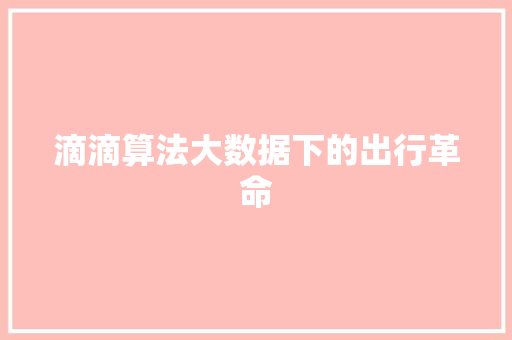 滴滴算法大数据下的出行革命
