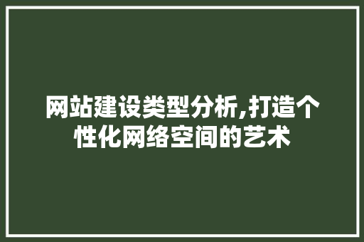网站建设类型分析,打造个性化网络空间的艺术