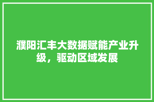 濮阳汇丰大数据赋能产业升级，驱动区域发展
