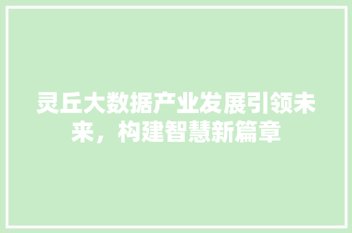 灵丘大数据产业发展引领未来，构建智慧新篇章 友链在线