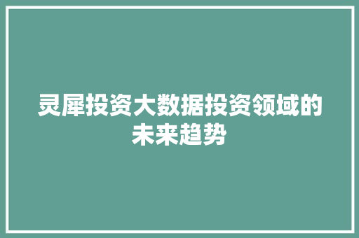 灵犀投资大数据投资领域的未来趋势 建站教程