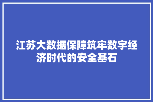 江苏大数据保障筑牢数字经济时代的安全基石