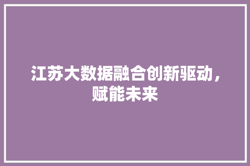 江苏大数据融合创新驱动，赋能未来