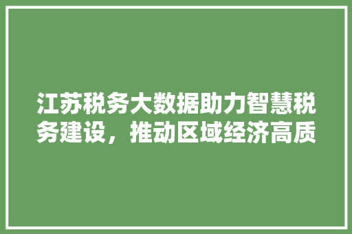 江苏税务大数据助力智慧税务建设，推动区域经济高质量发展 建站教程