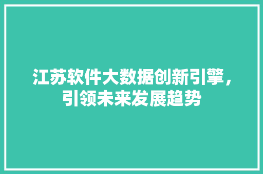 江苏软件大数据创新引擎，引领未来发展趋势 WordPress教程