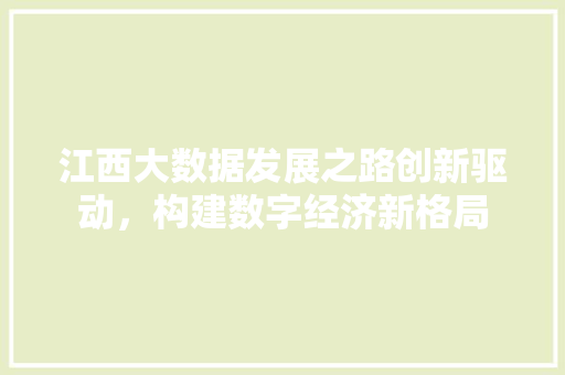江西大数据发展之路创新驱动，构建数字经济新格局