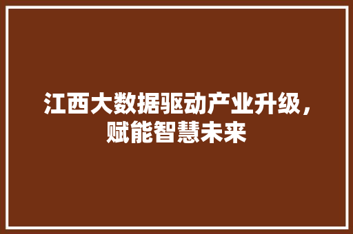 江西大数据驱动产业升级，赋能智慧未来