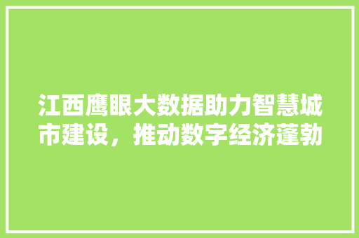 江西鹰眼大数据助力智慧城市建设，推动数字经济蓬勃发展